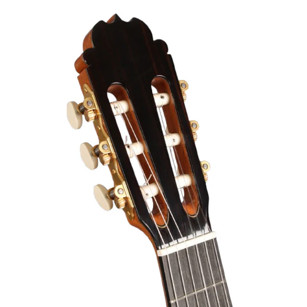 luthier india 3