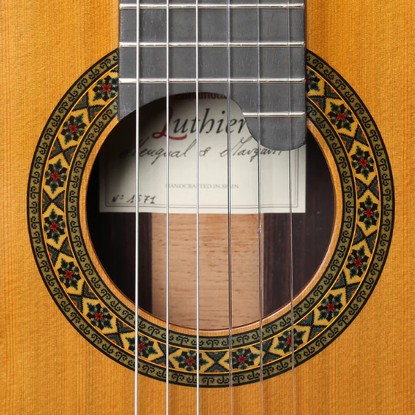 luthier india2